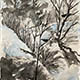 Vinterfåglar akvarell 40x50